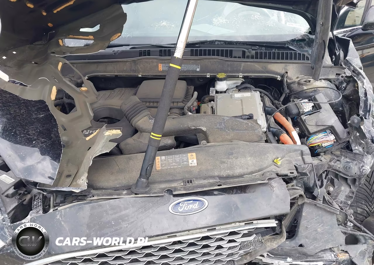 2019 Ford Fusion Hybrid Titanium VIN:3FA6P0RU6KR166205 - 10