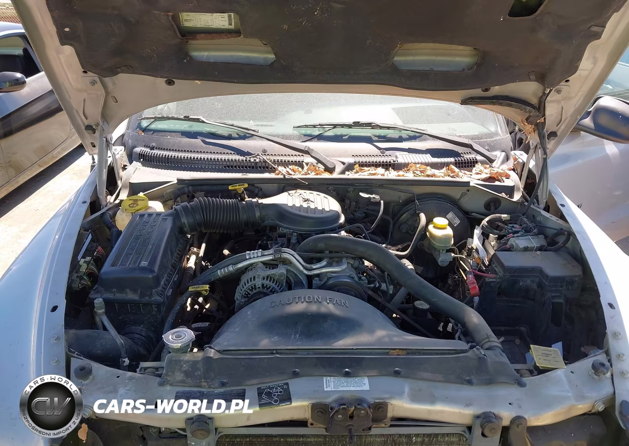 1998 Dodge Dakota Slt-Sport VIN:1B7GL22X0WS503102 - 10