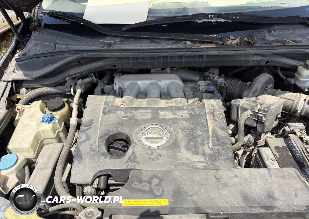 2004 Nissan Murano Sl-Se VIN:JN8AZ08W54W318626 - 10