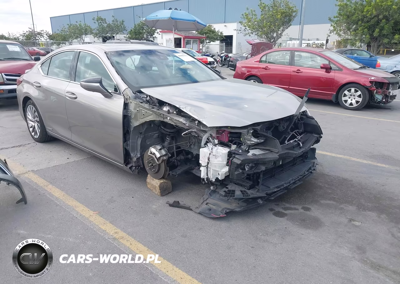 2019 Lexus Es 300H Luxury