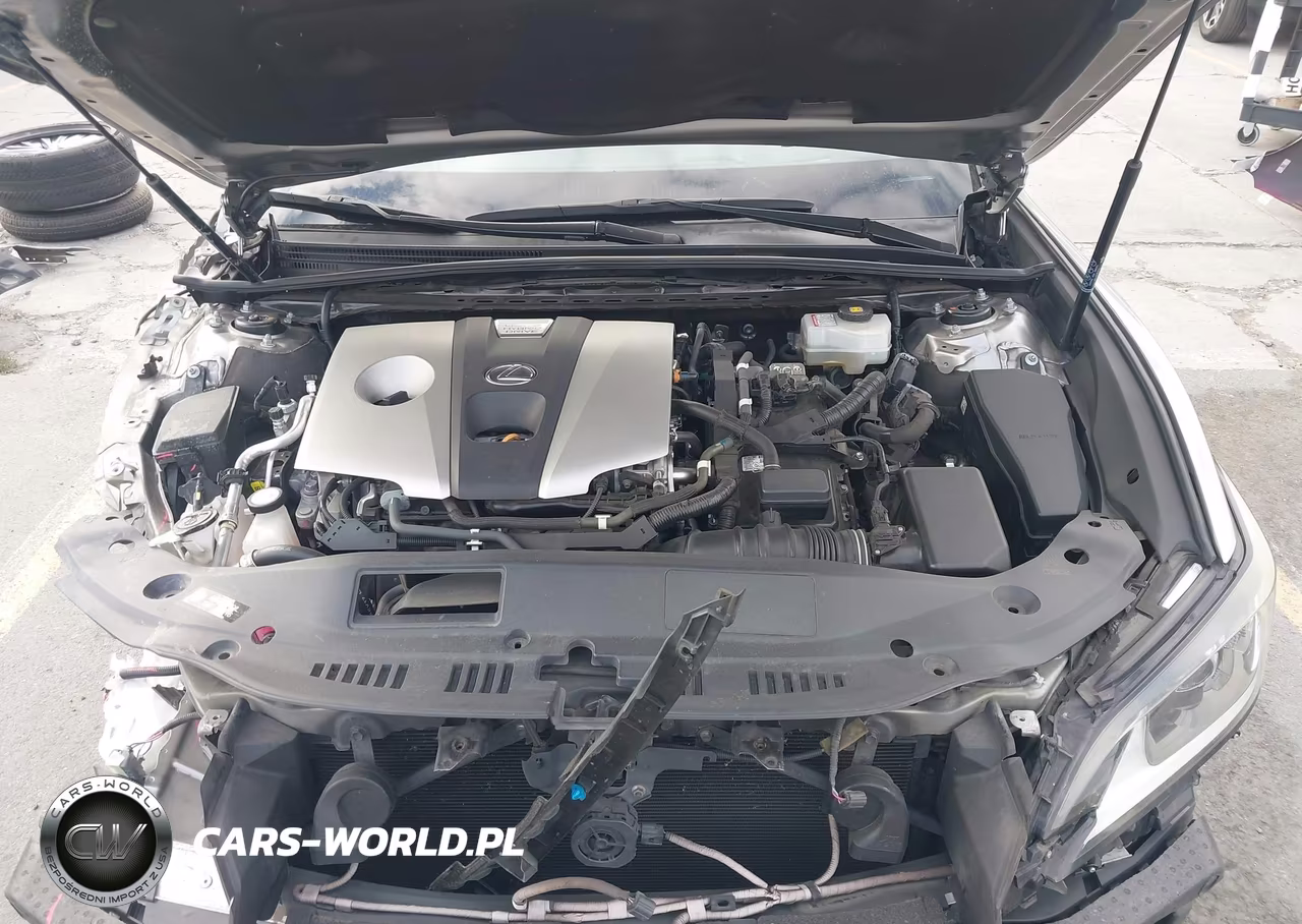 2019 Lexus Es 300H Luxury VIN:58AB21B14KU002042 - 10