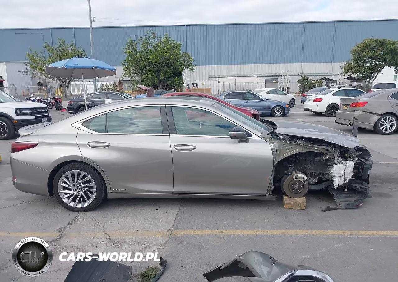 2019 Lexus Es 300H Luxury VIN:58AB21B14KU002042 - 14