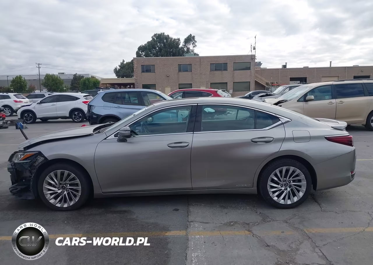 2019 Lexus Es 300H Luxury VIN:58AB21B14KU002042 - 15