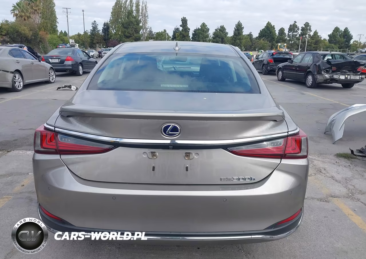 2019 Lexus Es 300H Luxury VIN:58AB21B14KU002042 - 17
