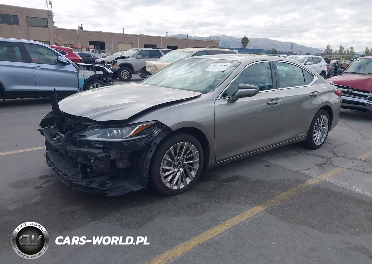 2019 Lexus Es 300H Luxury VIN:58AB21B14KU002042 - 2