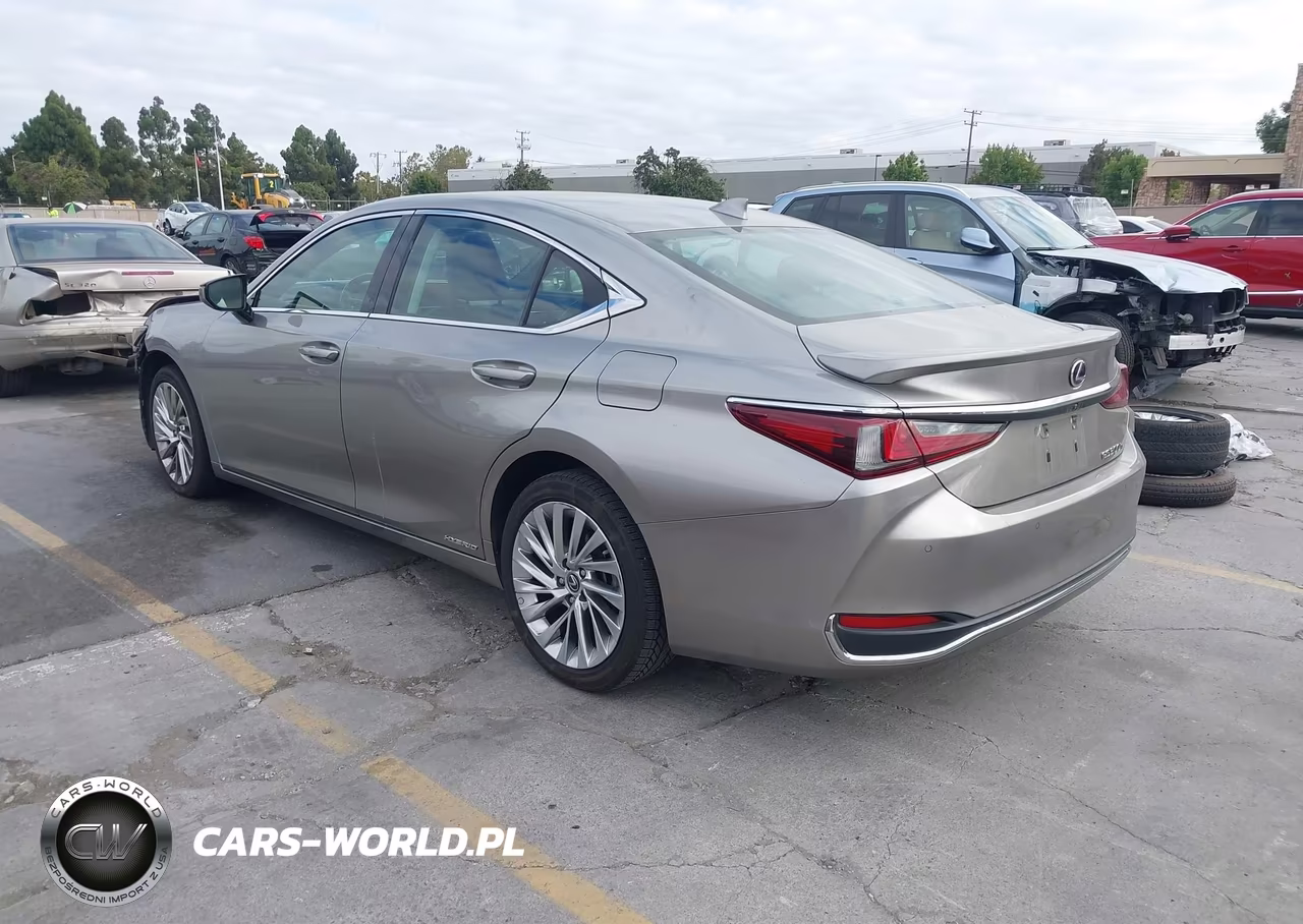 2019 Lexus Es 300H Luxury VIN:58AB21B14KU002042 - 3