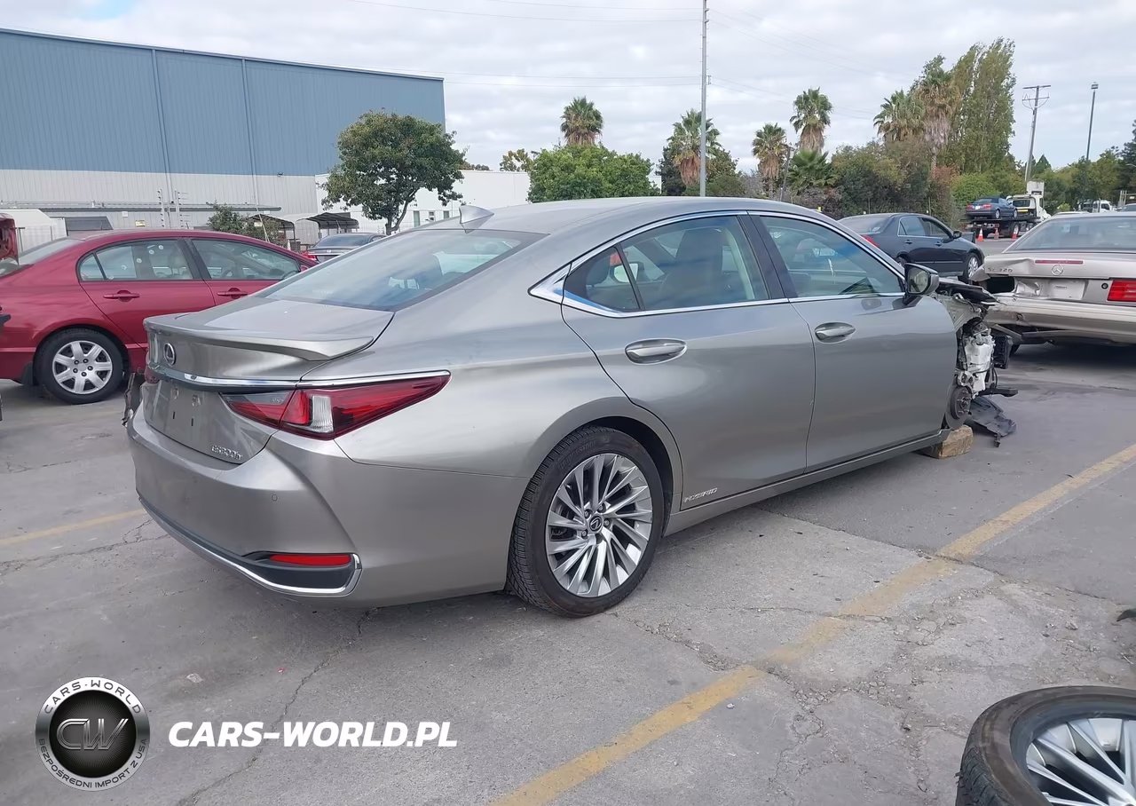 2019 Lexus Es 300H Luxury VIN:58AB21B14KU002042 - 4