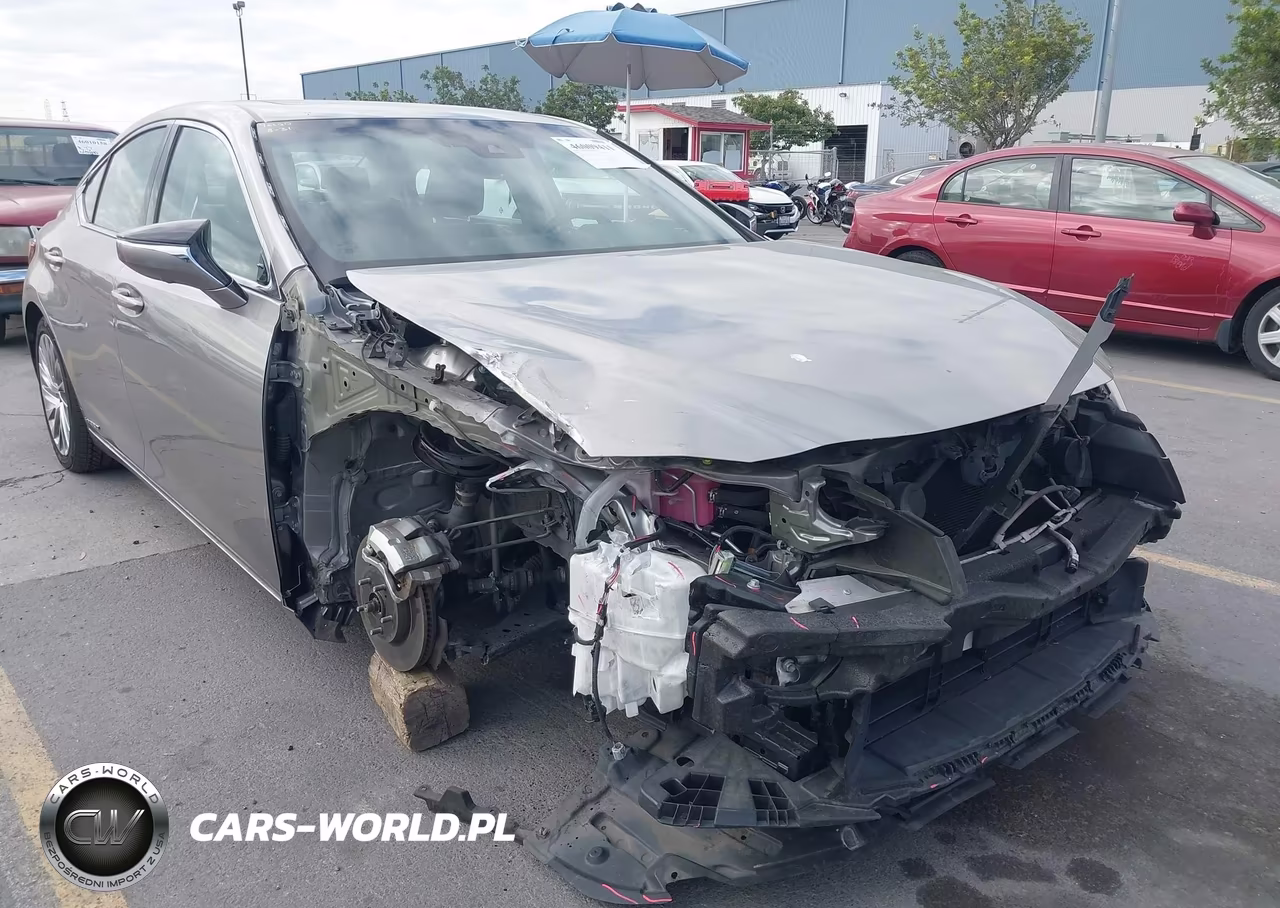 2019 Lexus Es 300H Luxury VIN:58AB21B14KU002042 - 6