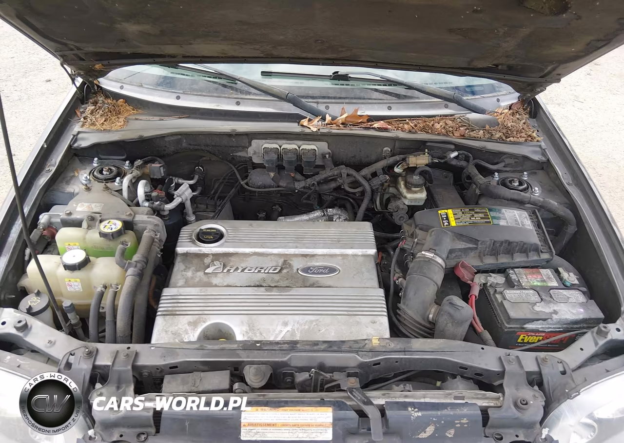 2005 Ford Escape Hybrid VIN:1FMYU96H75KD30119 - 10