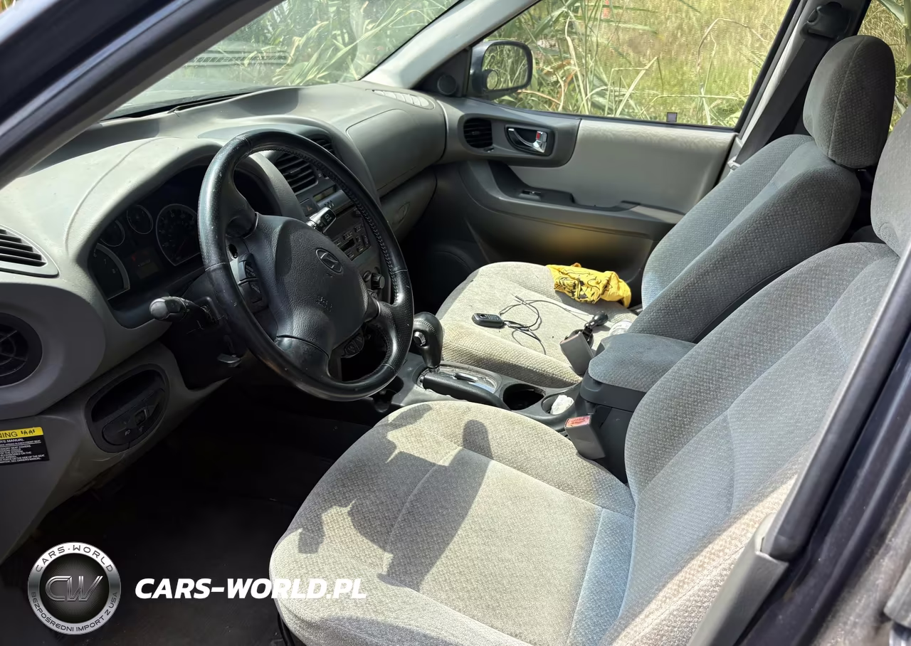 2006 Hyundai Santa Fe Gls-Limited VIN:KM8SC13D86U071481 - 5