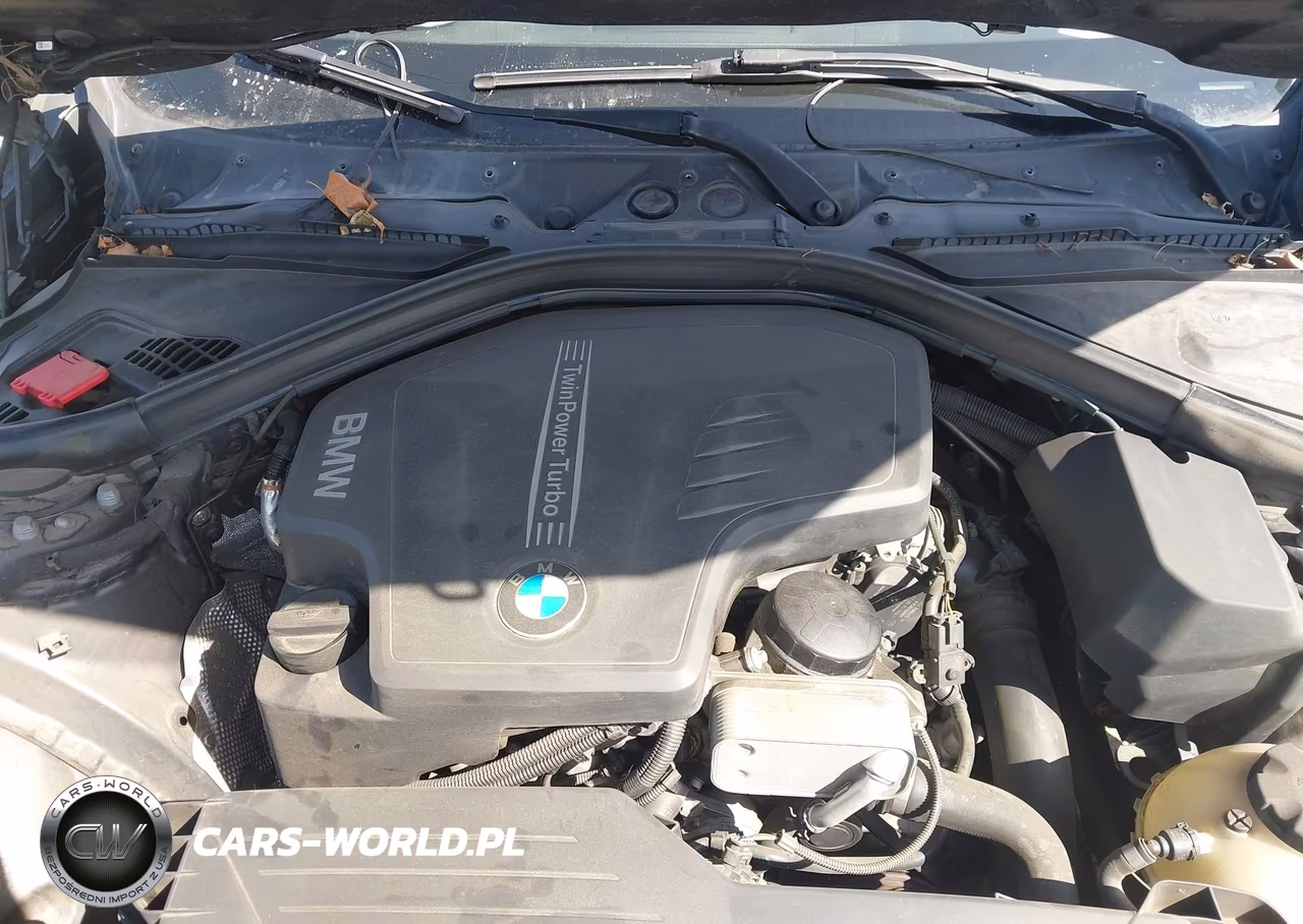2016 BMW 320I VIN:WBA8A9C59GK617047 - 10