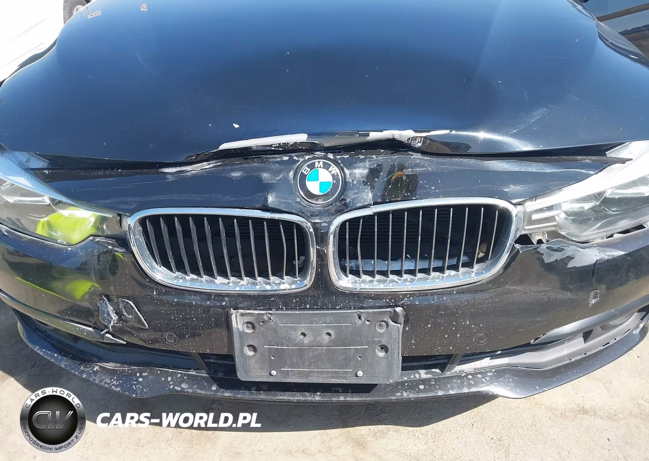 2016 BMW 320I VIN:WBA8A9C59GK617047 - 6