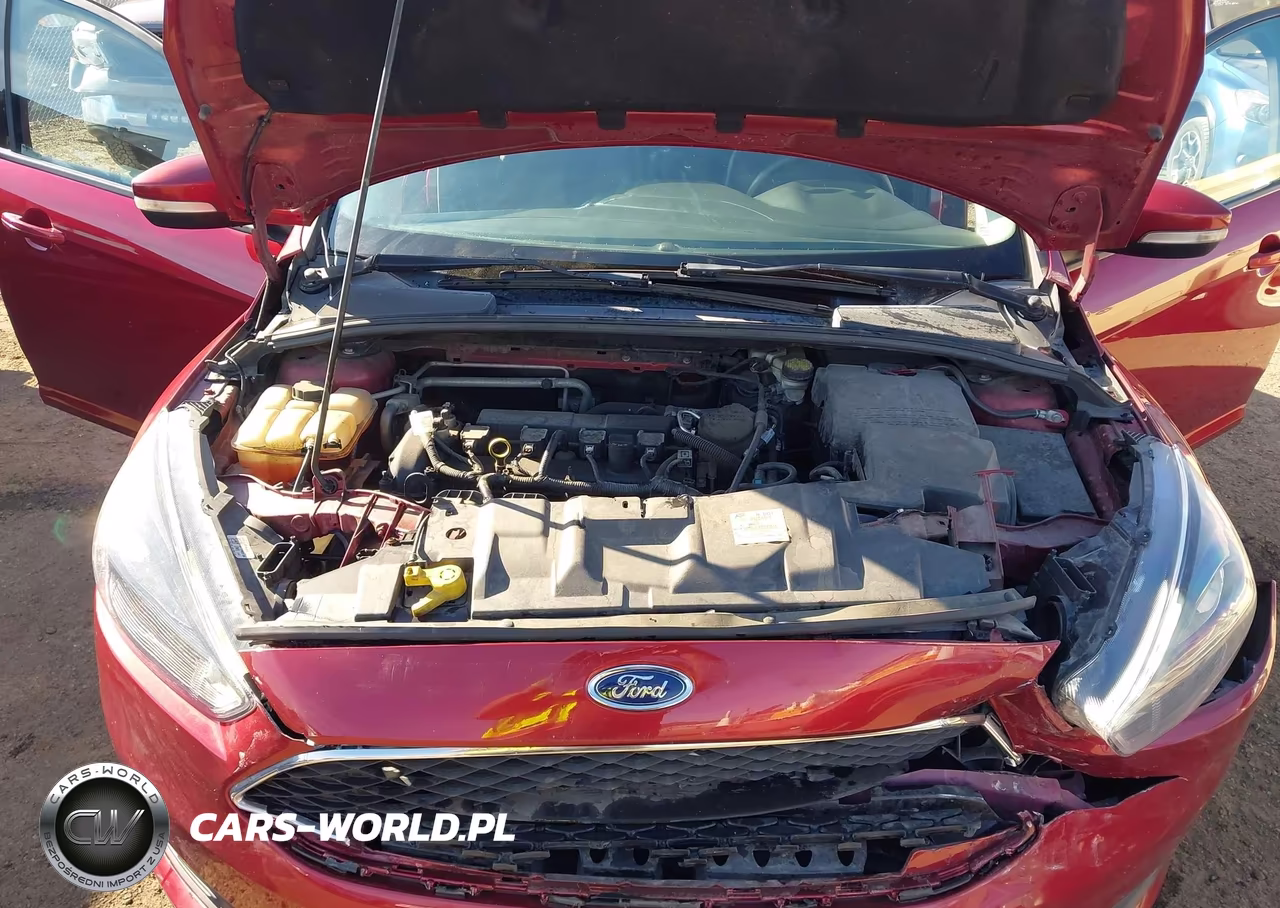 2016 Ford Focus Se VIN:1FADP3K21GL206021 - 10