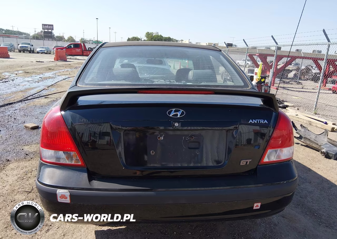 2003 Hyundai Elantra Gls-Gt VIN:KMHDN45D83U666604 - 17