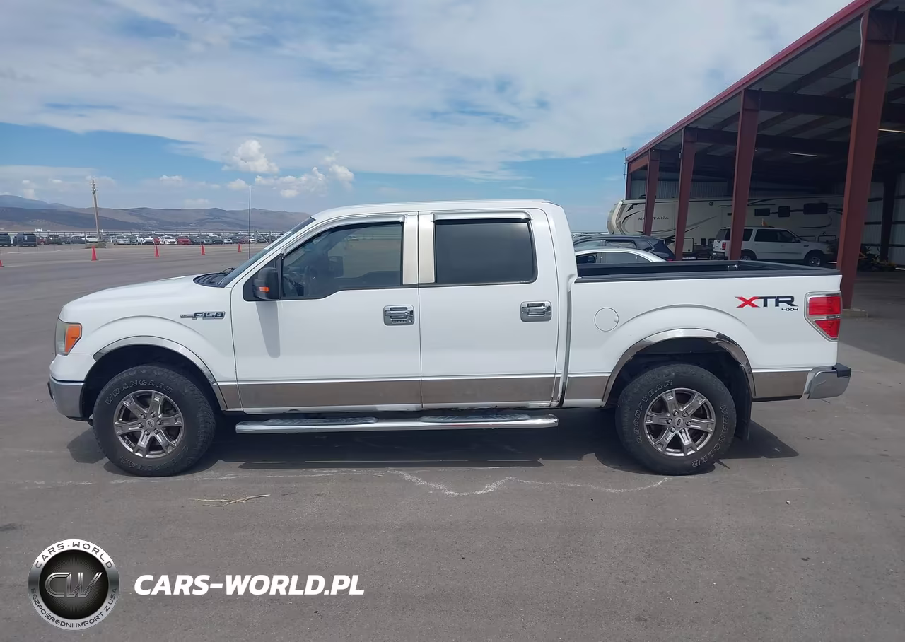 2010 Ford F-150 Fx4-Harley-Davidson-King Ranch-Lariat-Platinum-Xl-Xlt VIN:1FTFW1EV5AFB72767 - 15