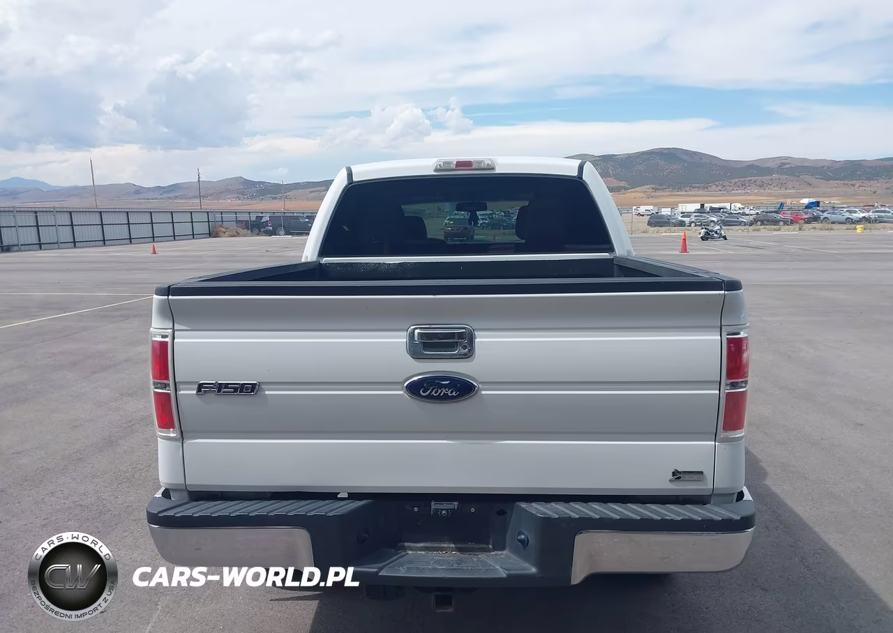 2010 Ford F-150 Fx4-Harley-Davidson-King Ranch-Lariat-Platinum-Xl-Xlt VIN:1FTFW1EV5AFB72767 - 17