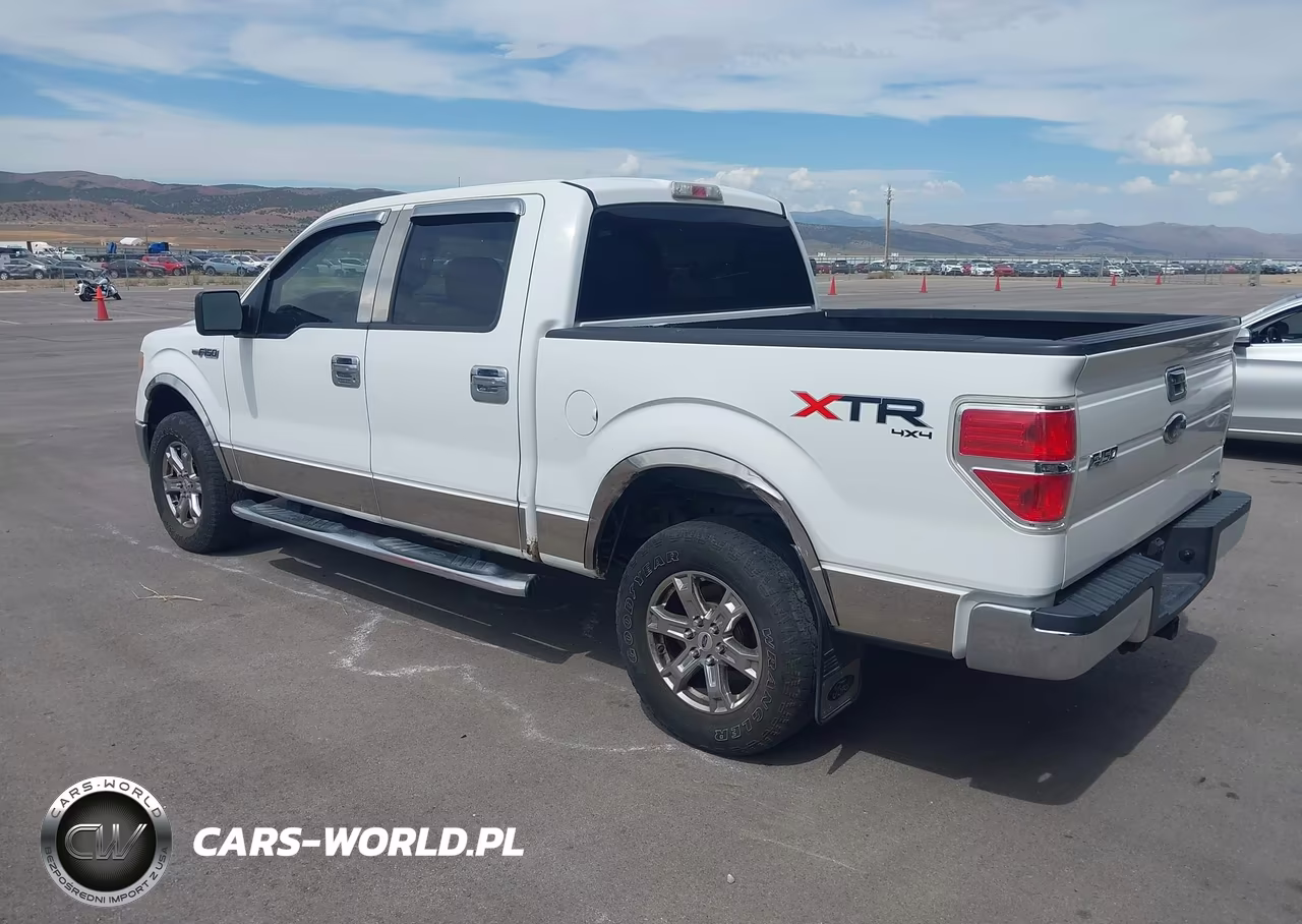 2010 Ford F-150 Fx4-Harley-Davidson-King Ranch-Lariat-Platinum-Xl-Xlt VIN:1FTFW1EV5AFB72767 - 3