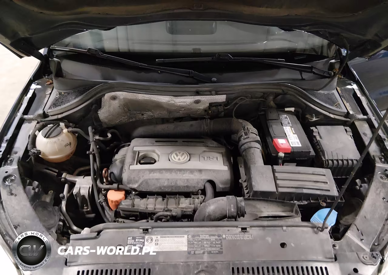 2011 Volkswagen Tiguan Sel VIN:WVGBV7AX0BW520306 - 10