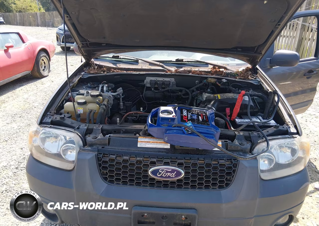 2005 Ford Escape Hybrid VIN:1FMCU96H15KD90553 - 10