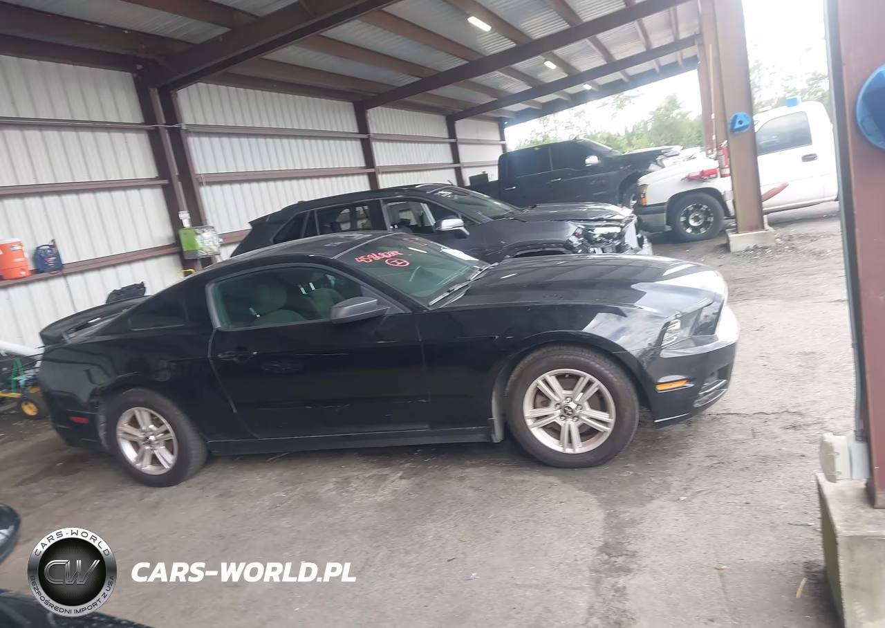 2014 Ford Mustang V6 VIN:1ZVBP8AMXE5227689 - 13