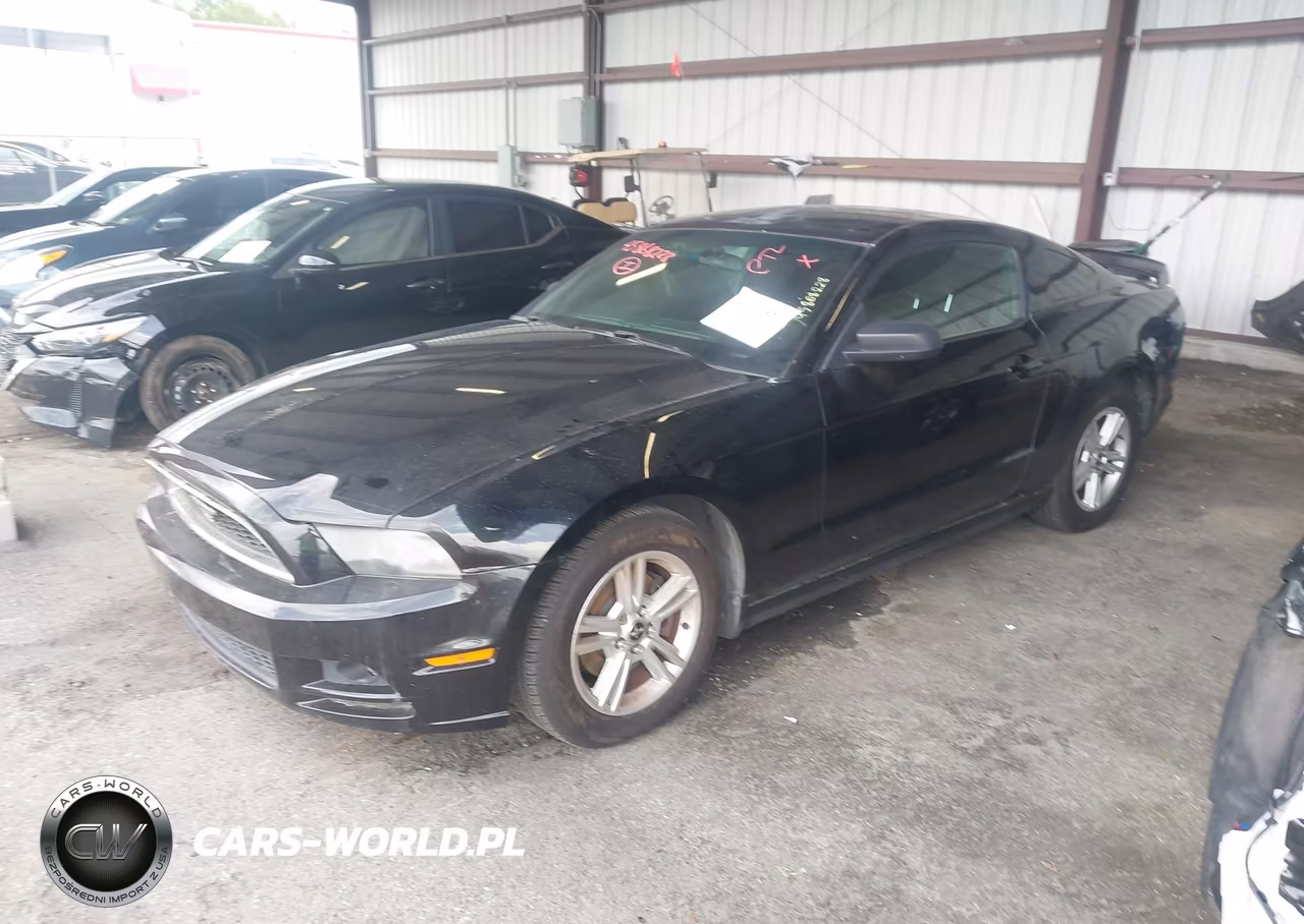 2014 Ford Mustang V6 VIN:1ZVBP8AMXE5227689 - 2