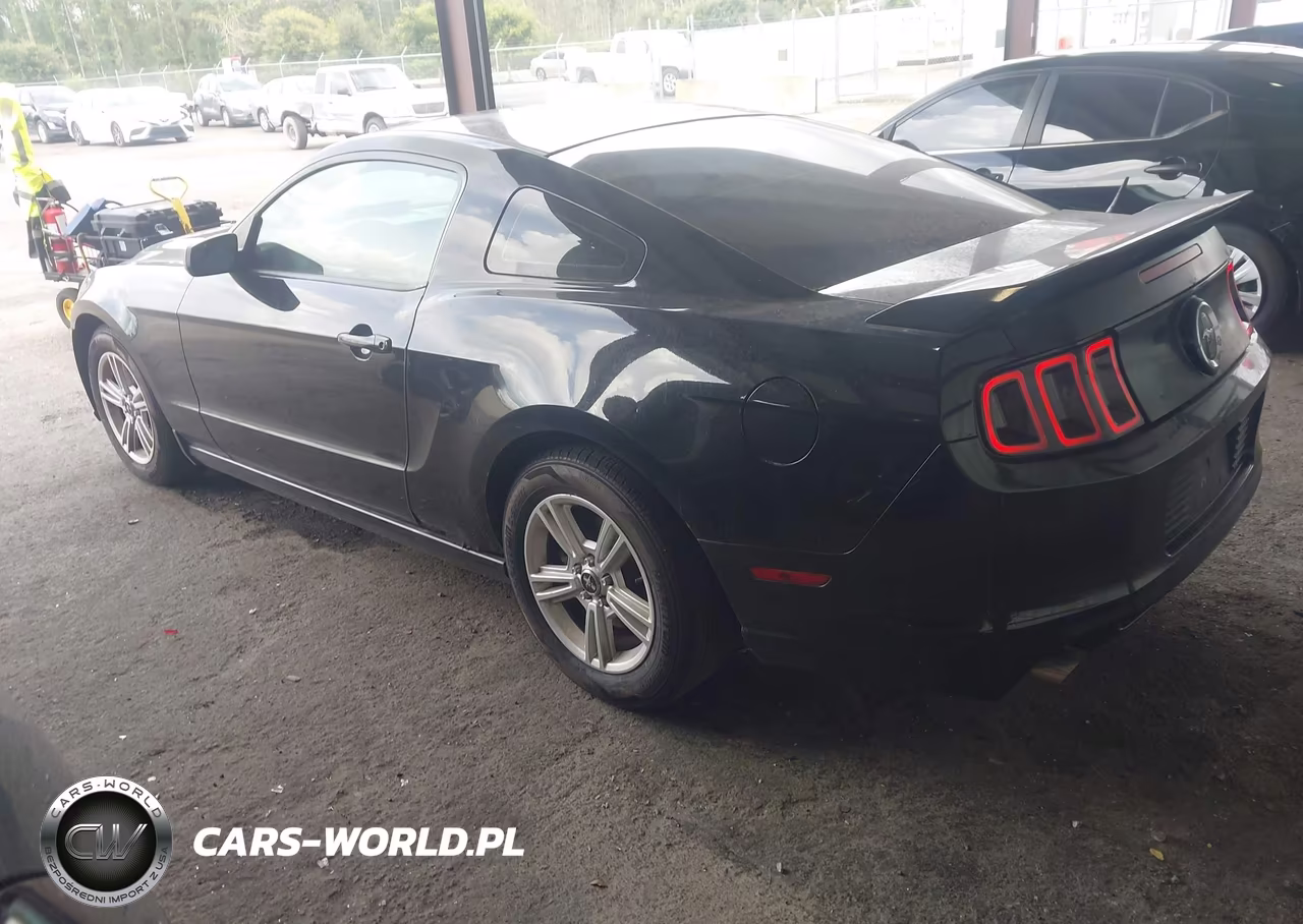 2014 Ford Mustang V6 VIN:1ZVBP8AMXE5227689 - 3