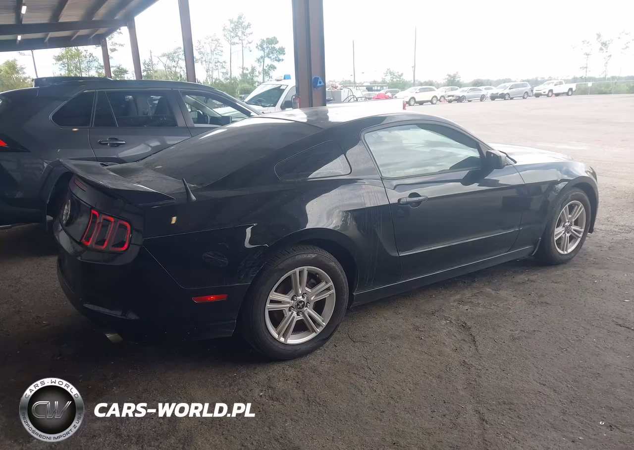 2014 Ford Mustang V6 VIN:1ZVBP8AMXE5227689 - 4