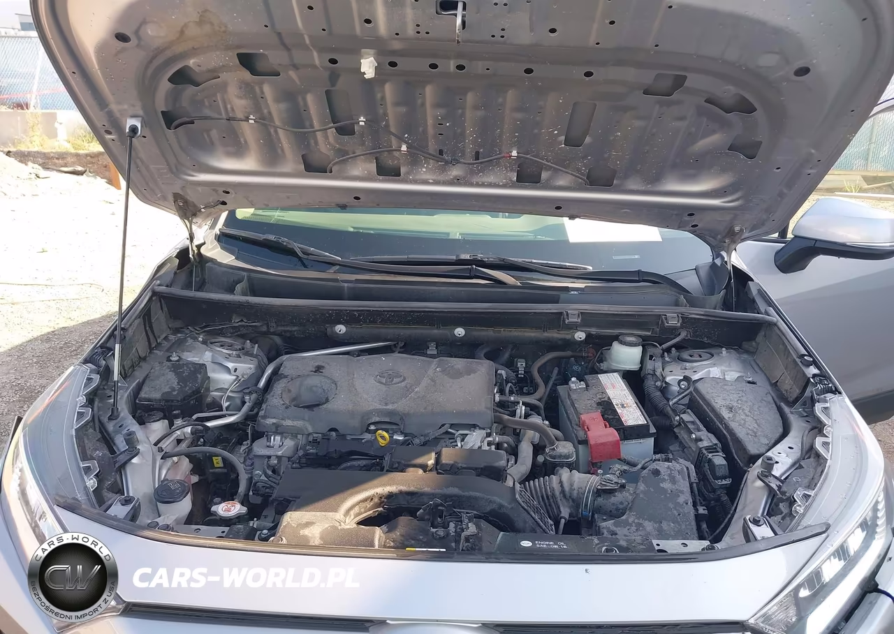 2019 Toyota Rav4 Limited VIN:JTMN1RFV4KD014683 - 10