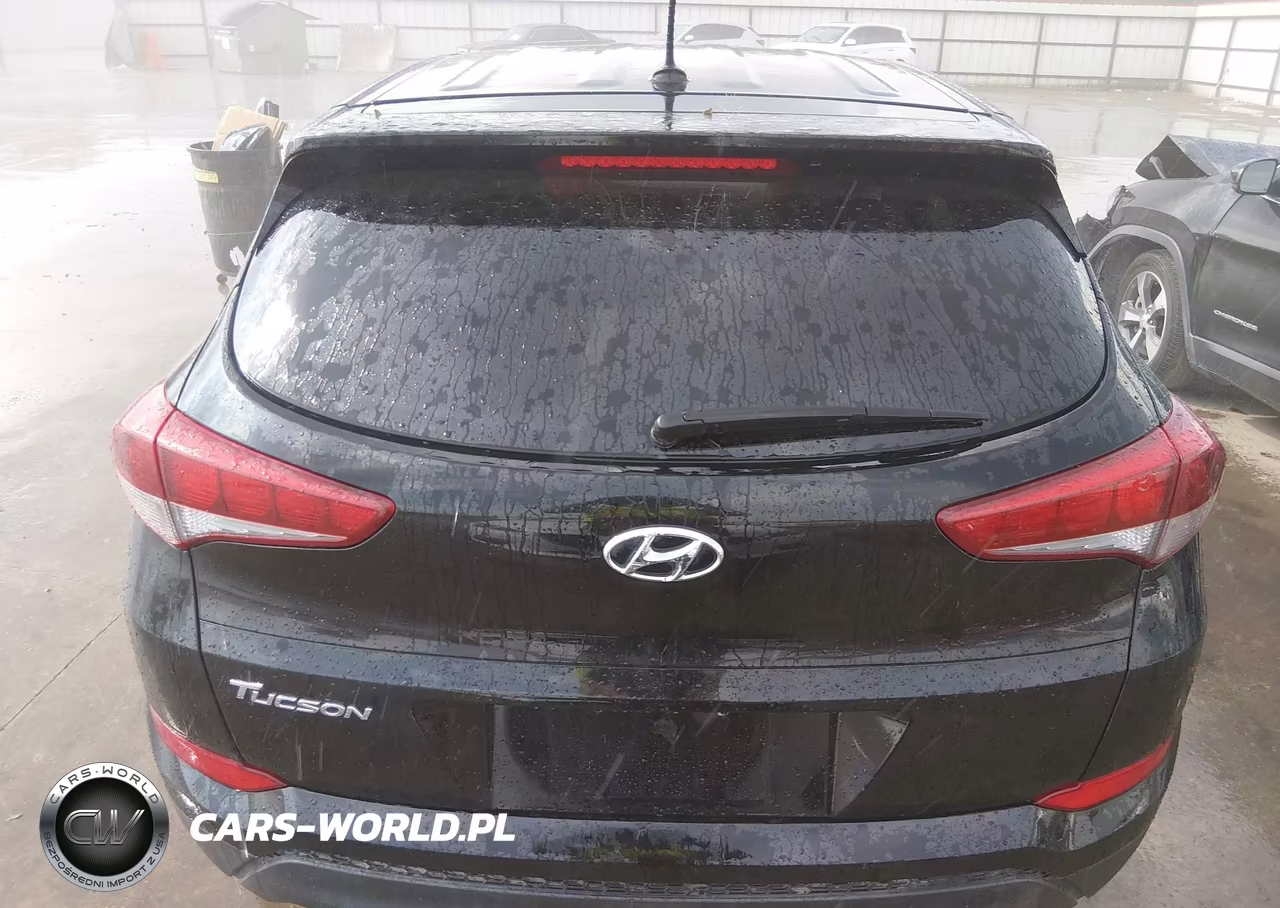 2017 Hyundai Tucson Se VIN:KM8J23A43HU355648 - 16