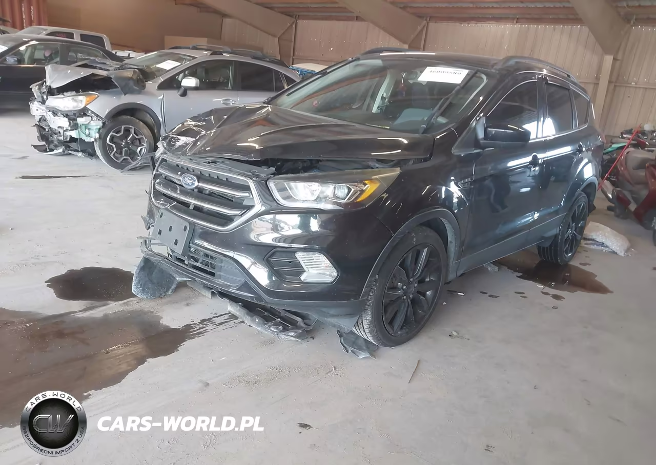 2019 Ford Escape Se VIN:1FMCU0GD7KUB07113 - 2