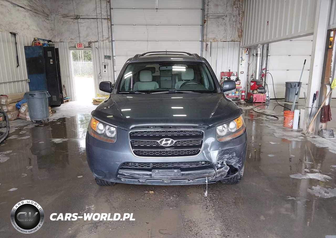 2007 Hyundai Santa Fe Gls VIN:5NMSG73D17H077370 - 12