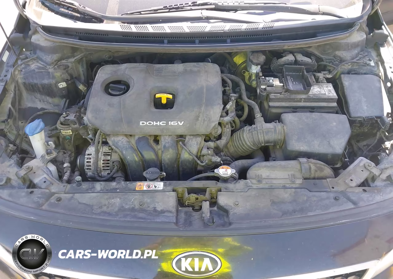 2017 Kia Forte Lx VIN:3KPFK4A79HE009869 - 10