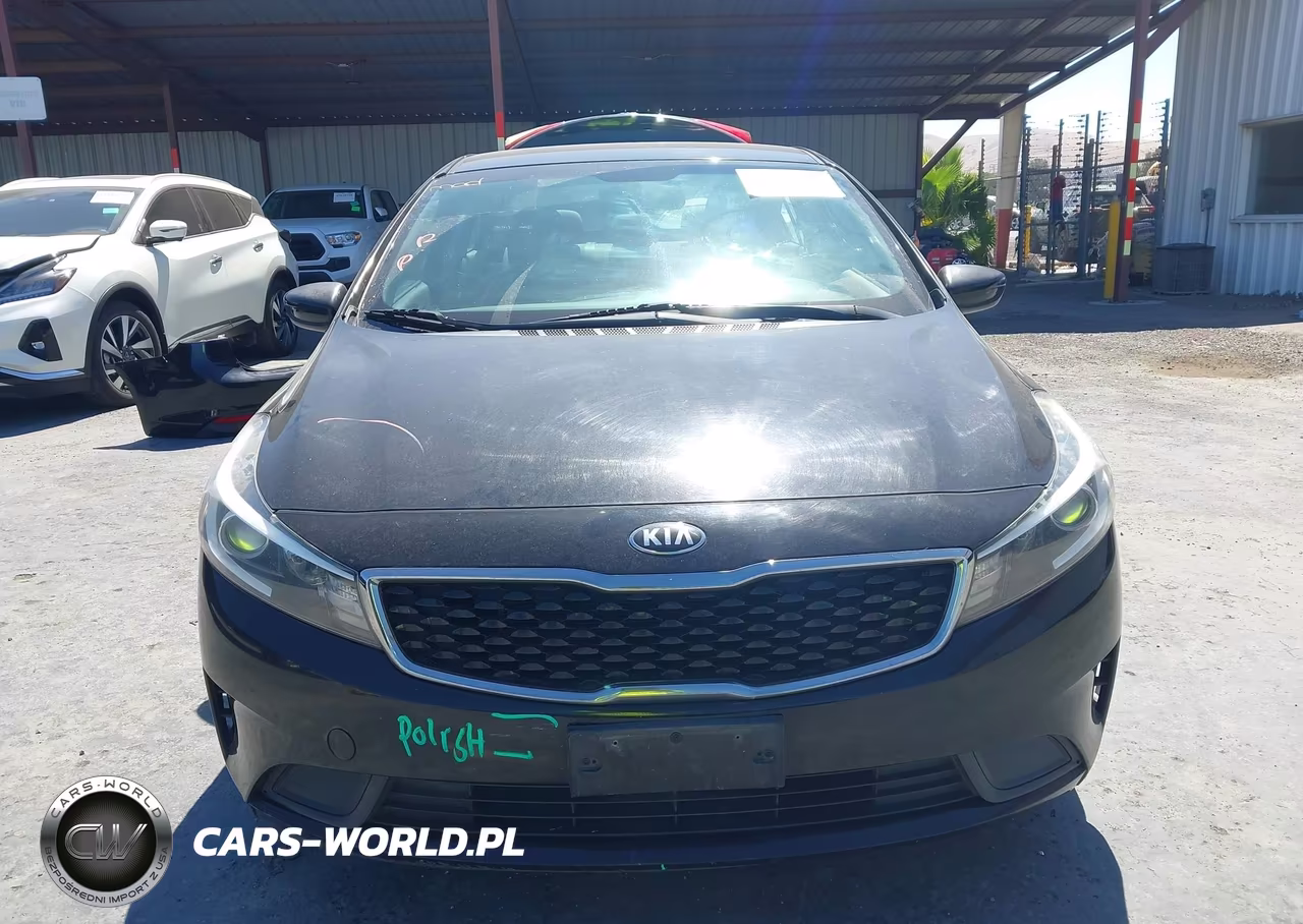2017 Kia Forte Lx VIN:3KPFK4A79HE009869 - 13