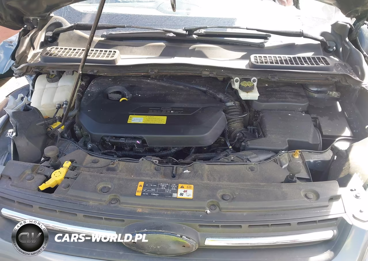 2014 Ford Escape Se VIN:1FMCU0GX2EUA19259 - 10