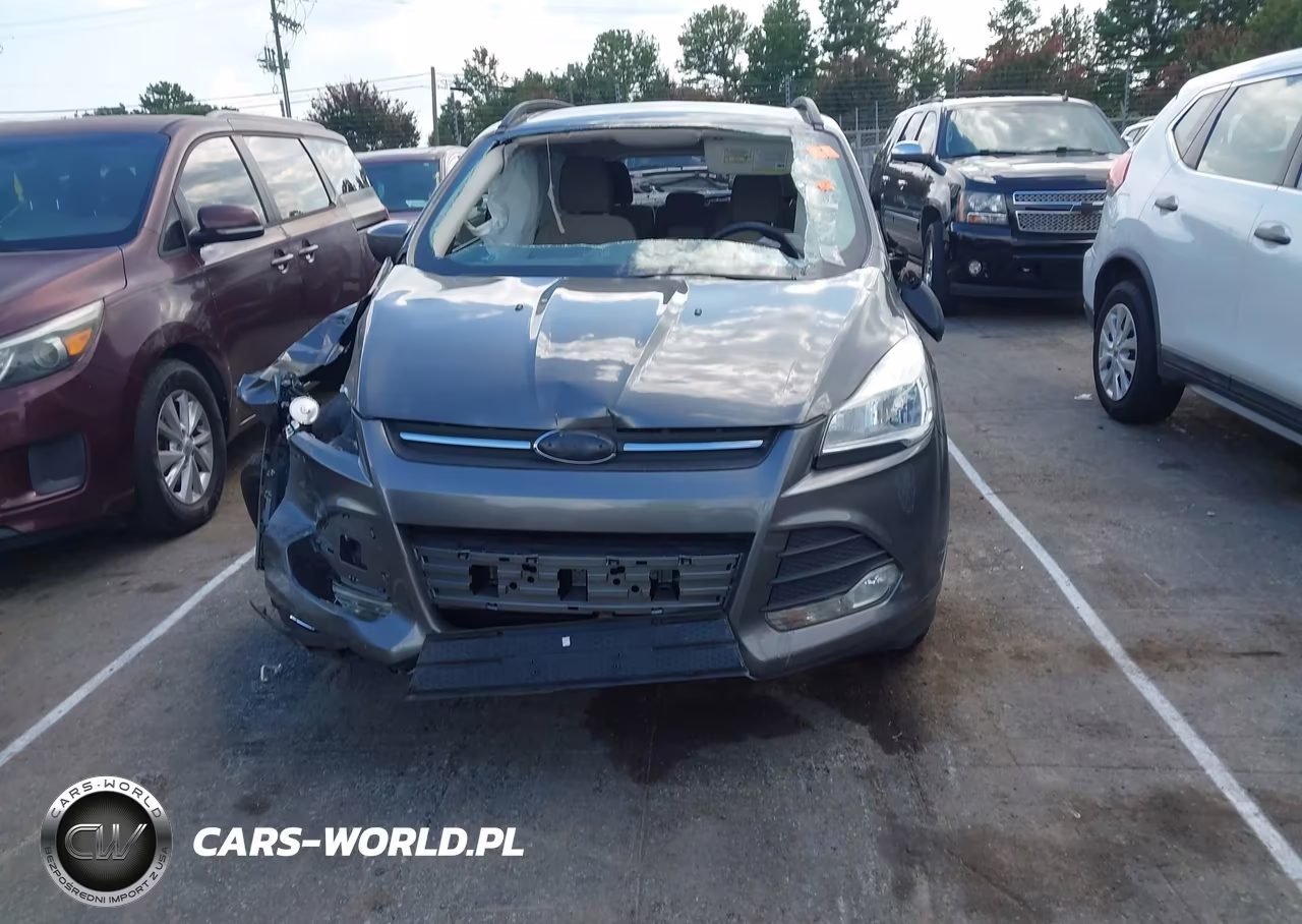 2014 Ford Escape Se VIN:1FMCU0GX2EUA19259 - 12