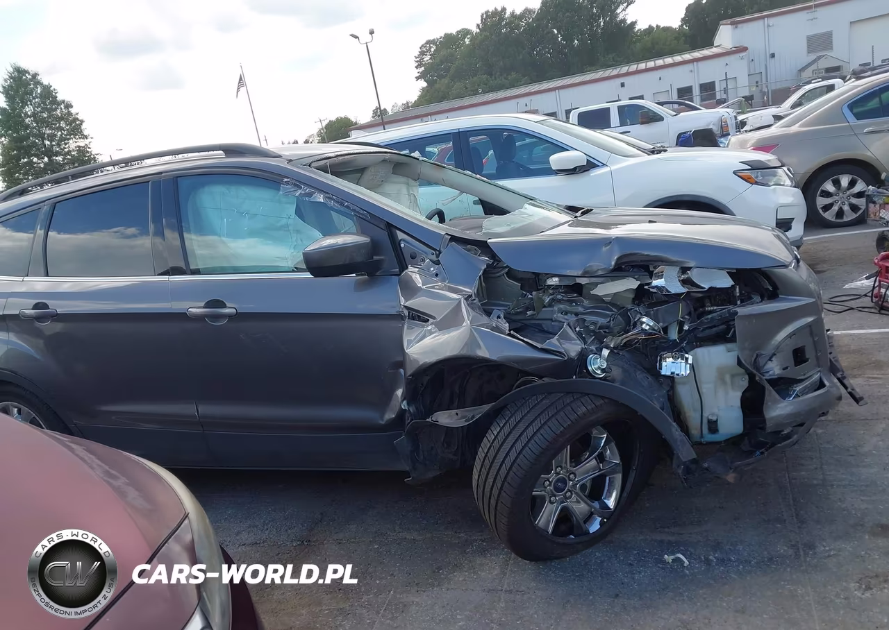2014 Ford Escape Se VIN:1FMCU0GX2EUA19259 - 13