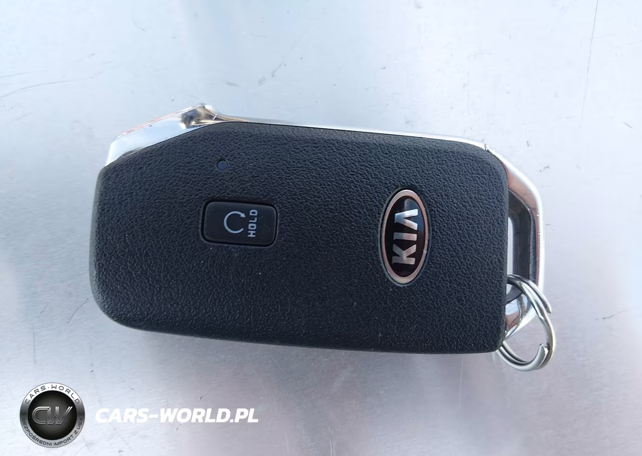 2021 Kia Telluride S VIN:5XYP6DHC5MG154173 - 11