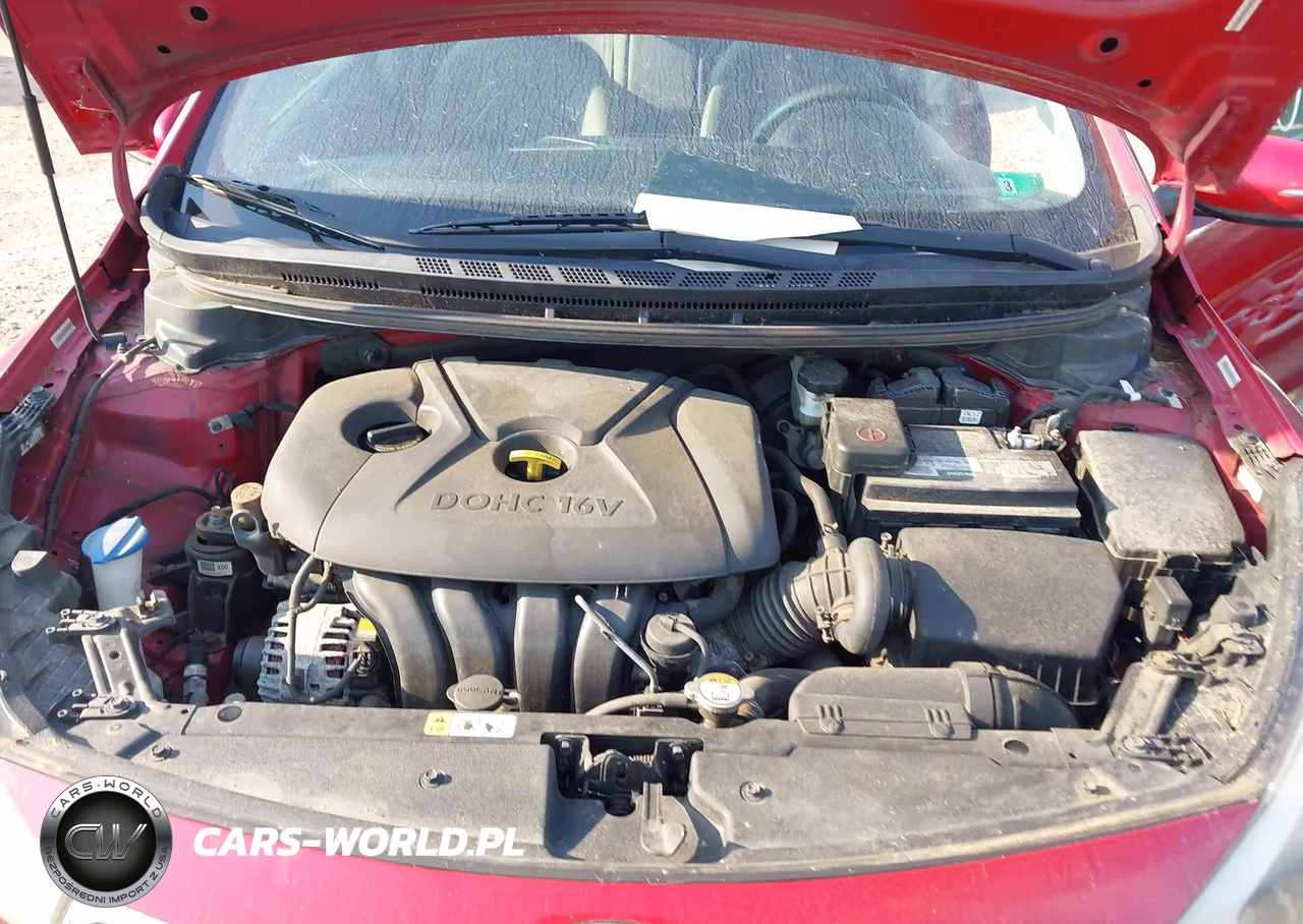 2015 Kia Forte Lx VIN:KNAFX4A65F5396533 - 10