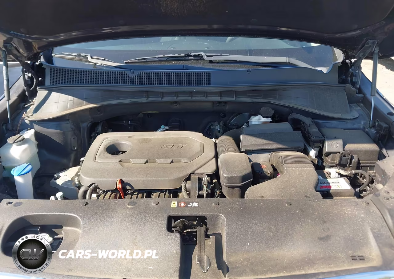 2018 Kia Sorento 2.4L Lx VIN:5XYPG4A3XJG342707 - 10