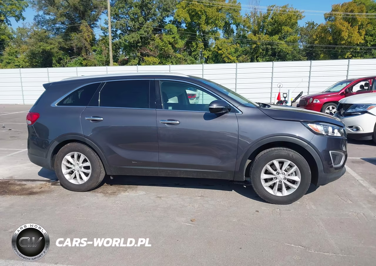 2018 Kia Sorento 2.4L Lx VIN:5XYPG4A3XJG342707 - 13