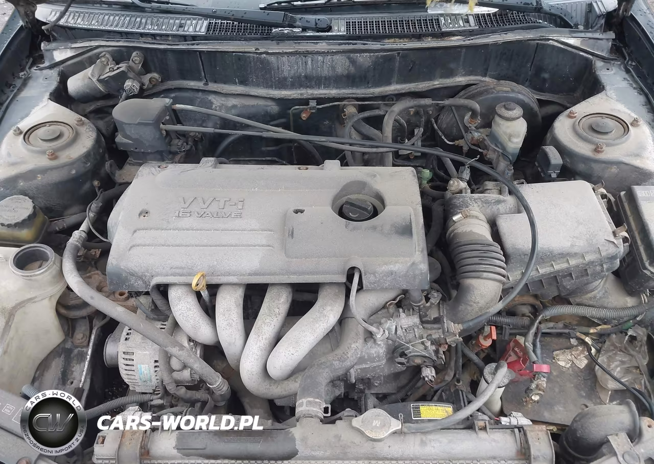 2001 Toyota Corolla Le VIN:2T1BR12E61C455794 - 10