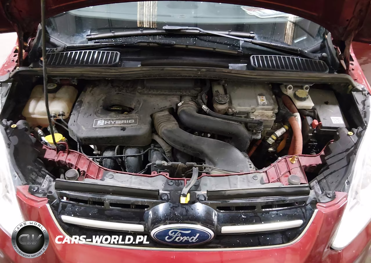 2013 Ford C-Max Hybrid Sel VIN:1FADP5BU8DL516532 - 10