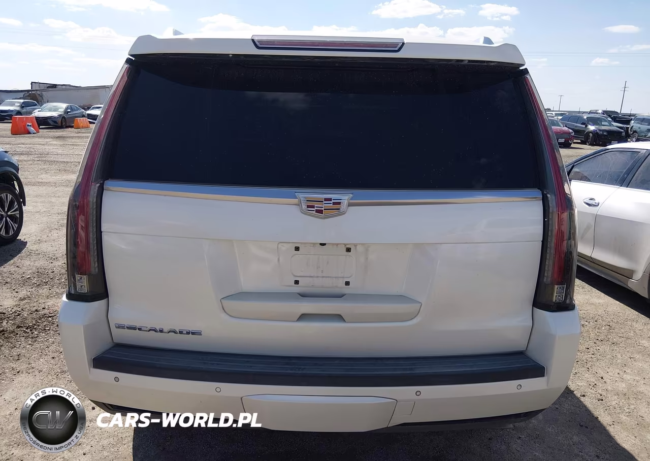 2015 Cadillac Escalade Premium VIN:1GYS4NKJ2FR740308 - 16