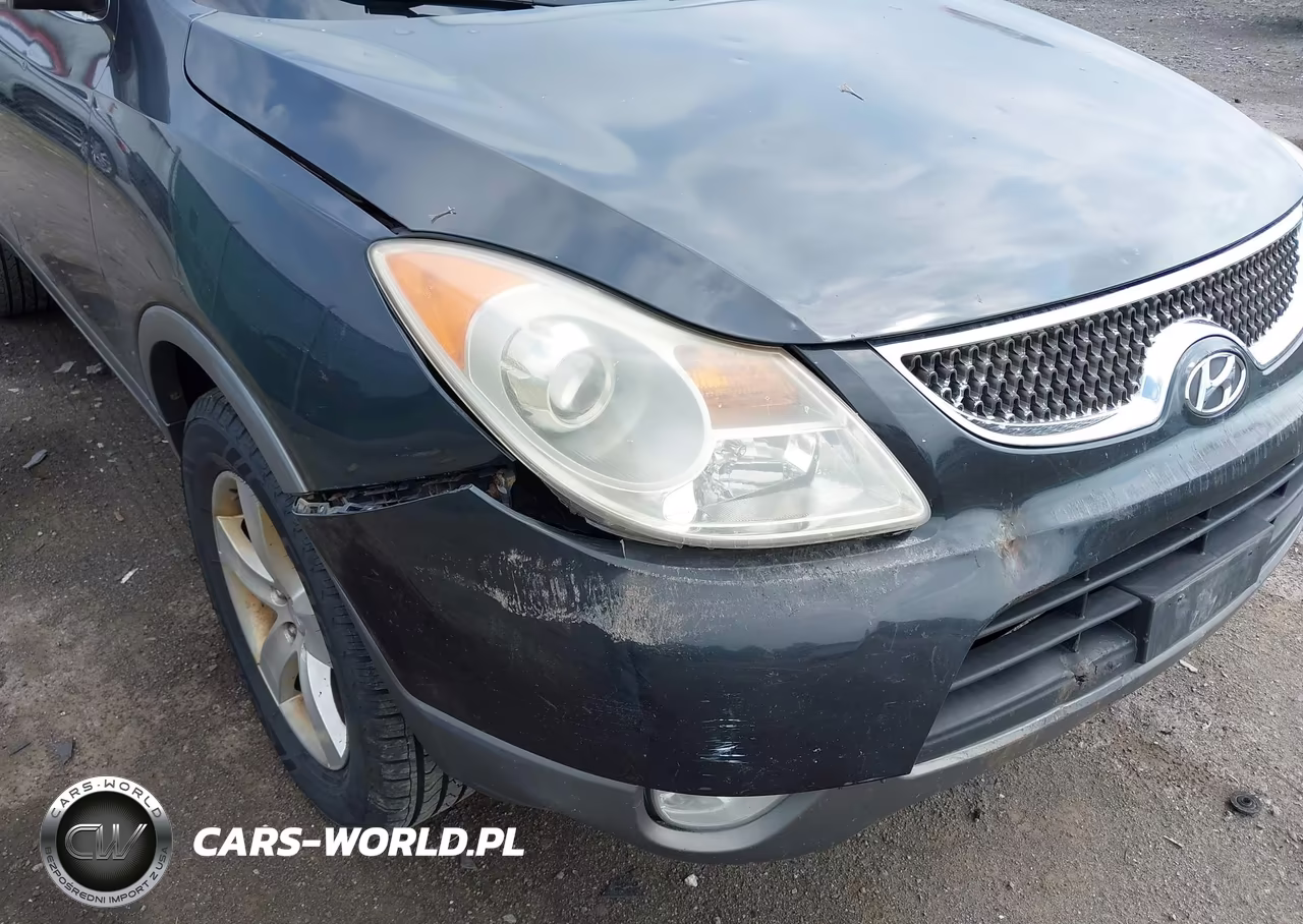 2007 Hyundai Veracruz Gls-Limited-Se VIN:KM8NU73C57U015827 - 6