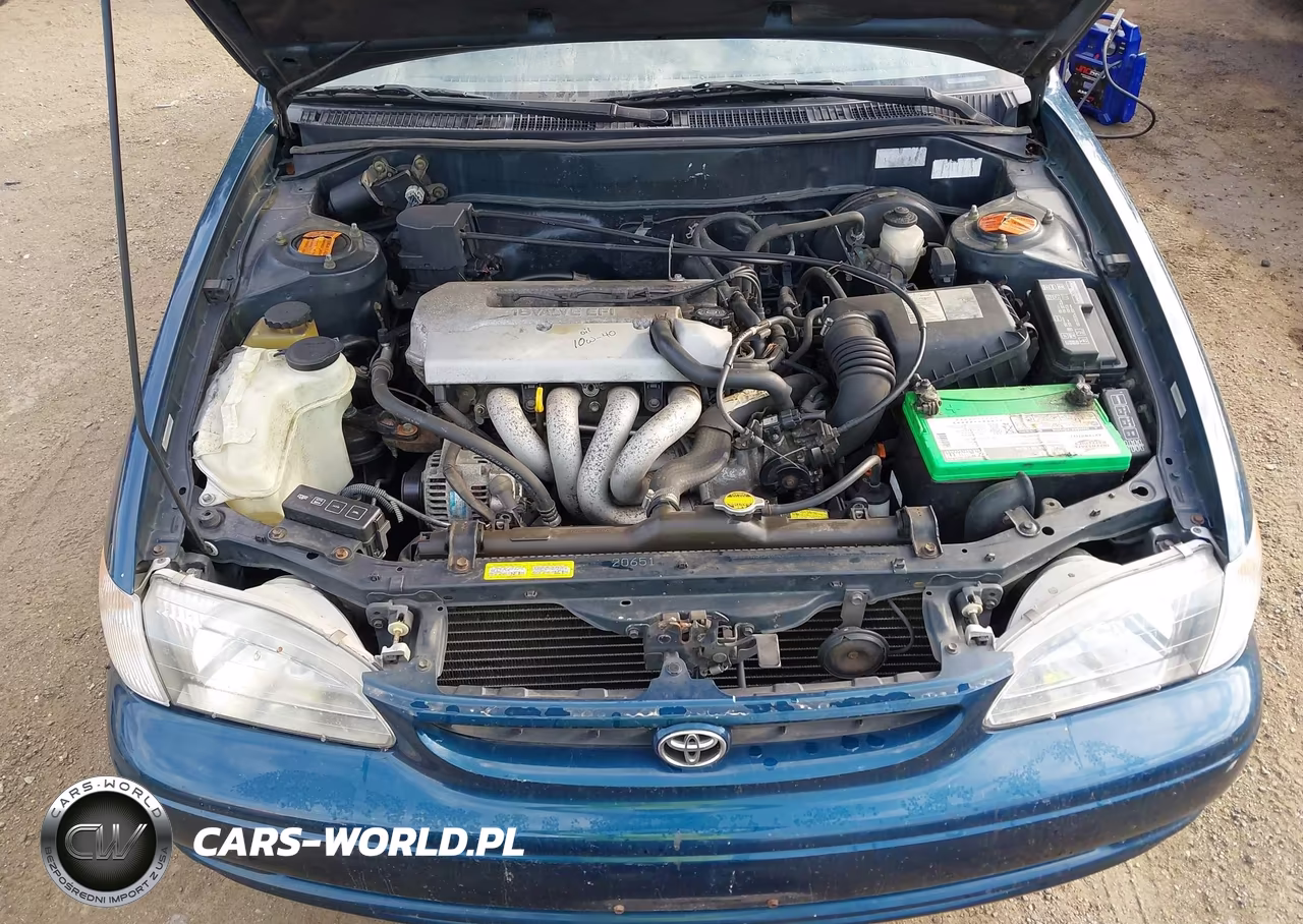 1998 Toyota Corolla Le VIN:2T1BR18E3WC015563 - 10