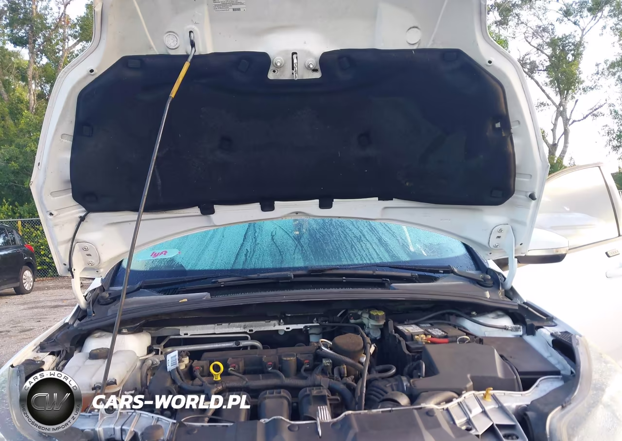 2014 Ford Focus Se VIN:1FADP3K22EL387238 - 10