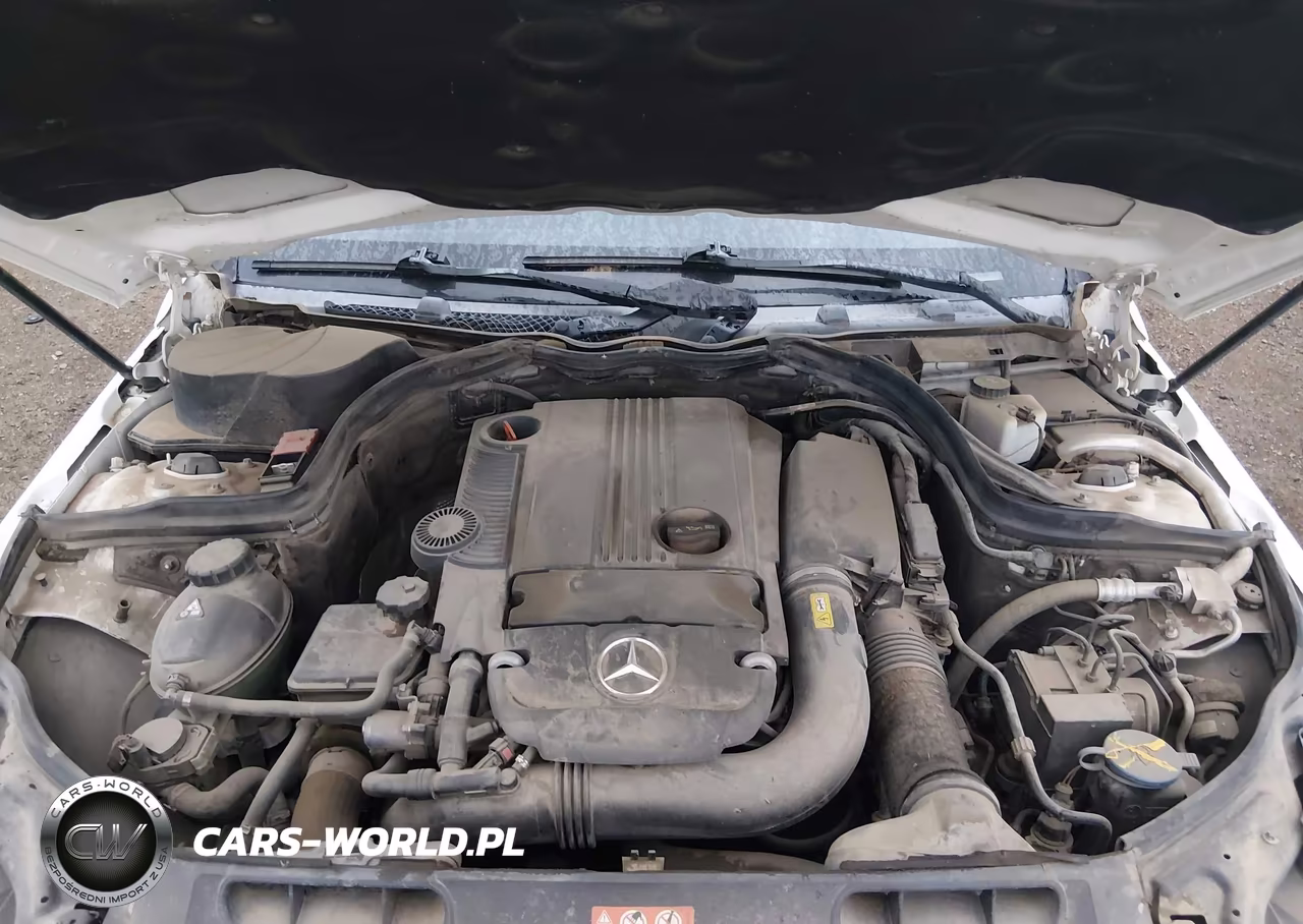 2013 Mercedes-Benz C 250 VIN:WDDGJ4HB3DF973956 - 10