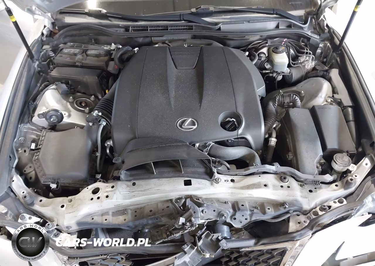 2014 Lexus Is 250 VIN:JTHBF1D27E5038889 - 10