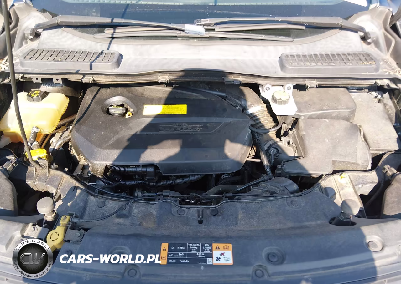 2016 Ford Escape Se VIN:1FMCU0GX4GUB89481 - 10