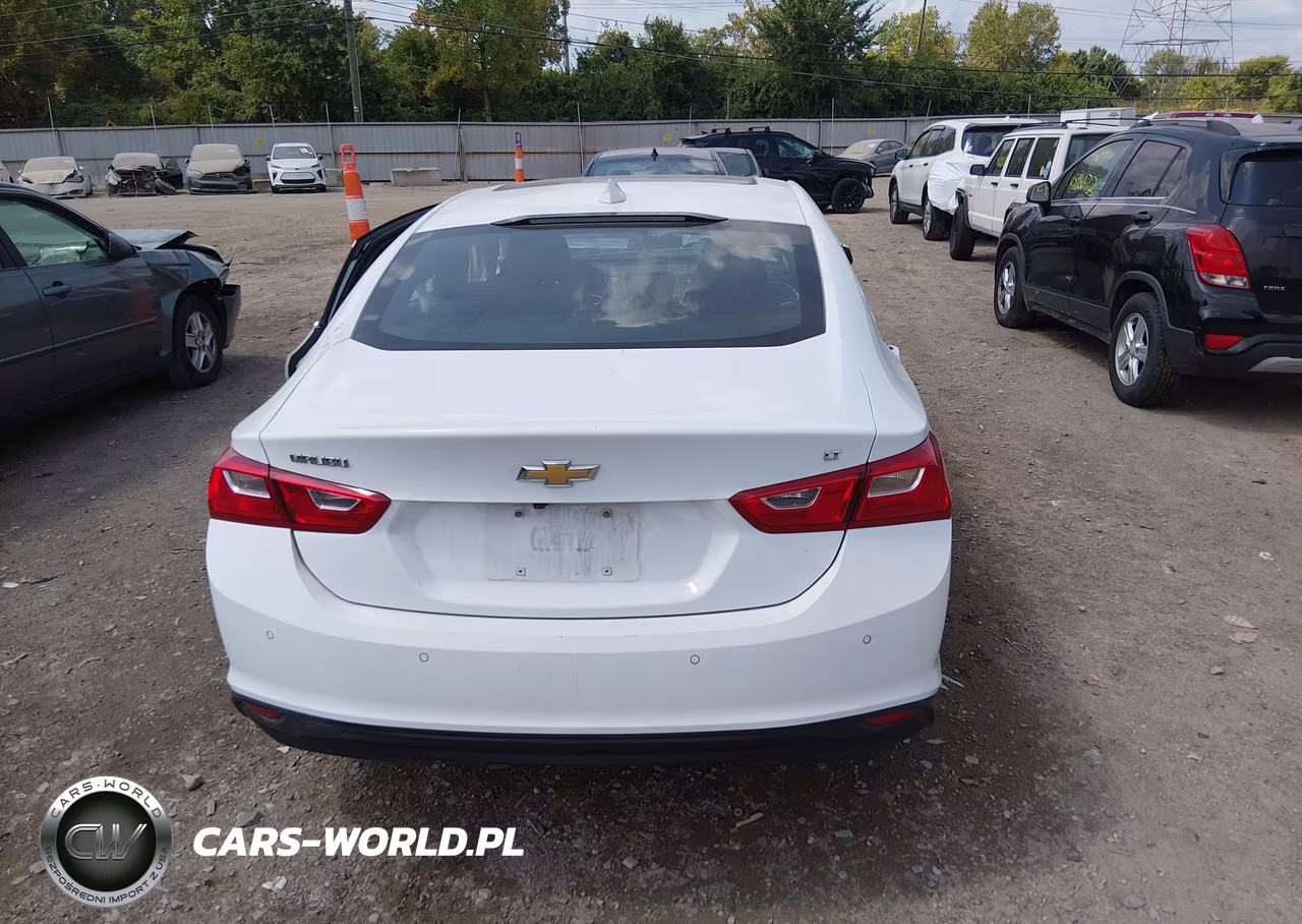 2023 Chevrolet Malibu Fwd 1Lt VIN:1G1ZD5ST4PF131156 - 16